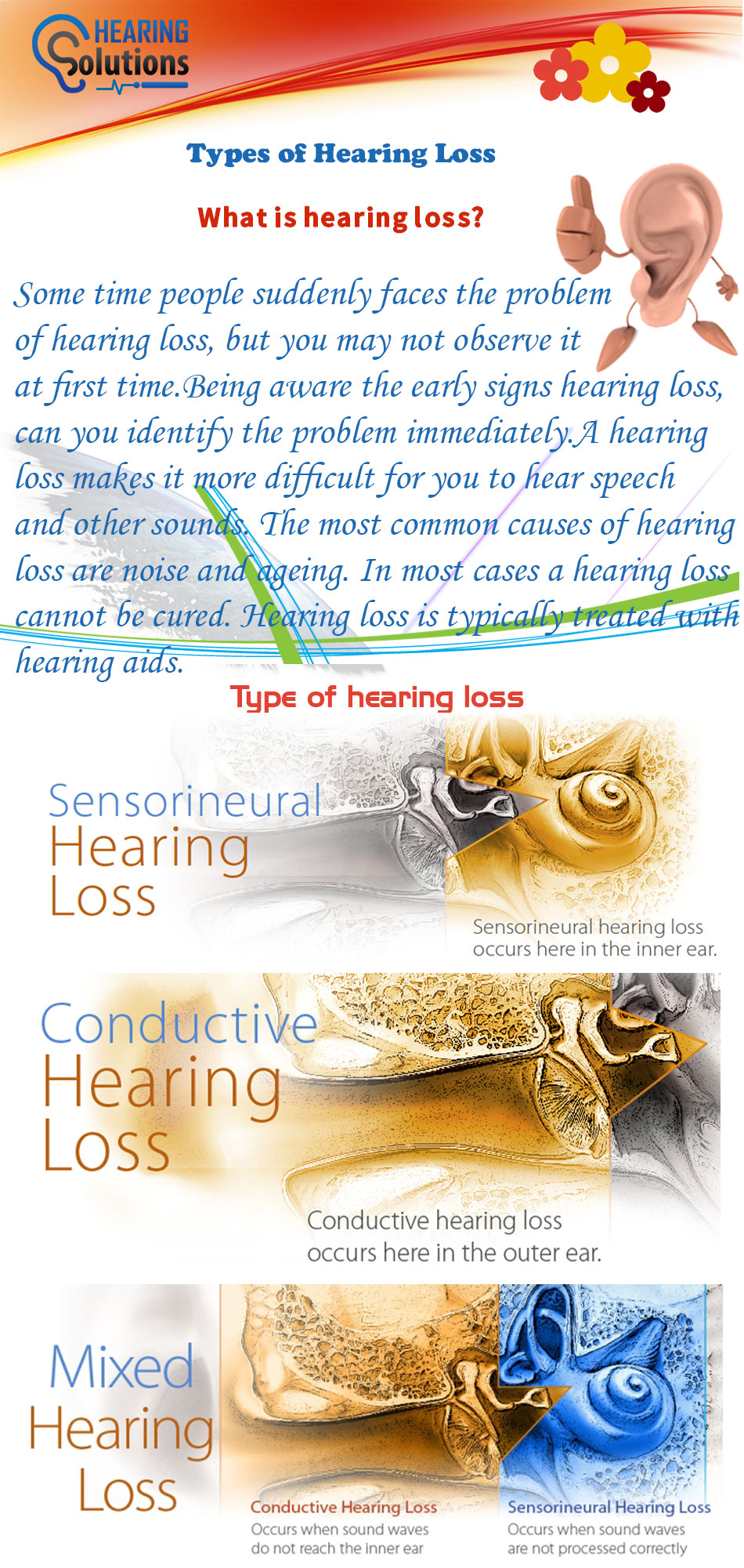 Types of Hearing Loss Infographics