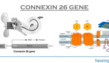 Connexin-26