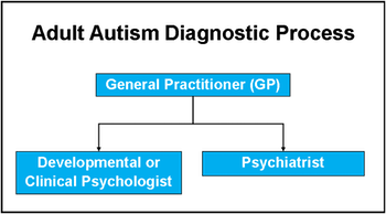 adult autism diagnosis