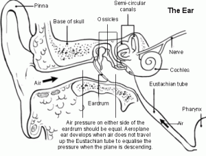 Air Pressure due to Airplanes Ear Pain