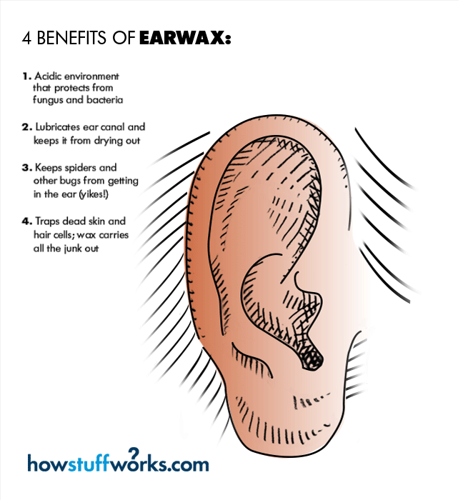 Need of Earwax
