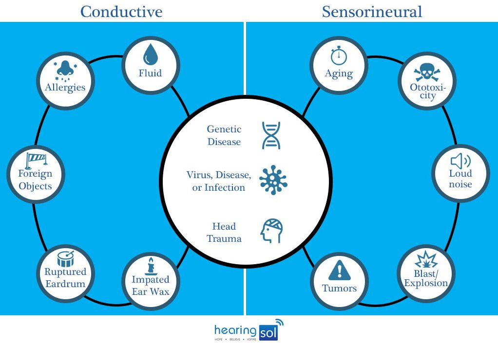 Causes of Conductive & Sensorineural Hearing Loss 