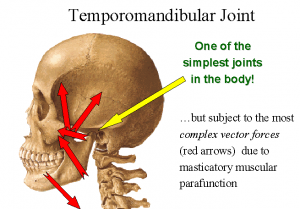 Temporomandibular joint