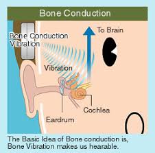 bone conduction