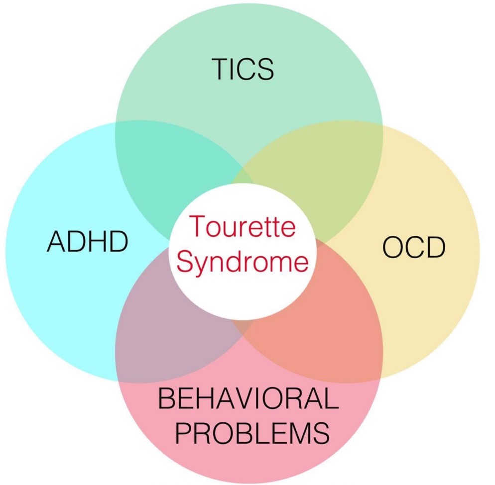 Tourette disorders