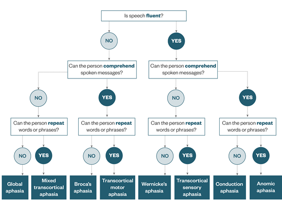 types of aphasia