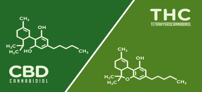 Chemical formula of CBD and THC