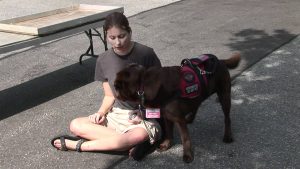 Autism Assistance Dogs for Adults