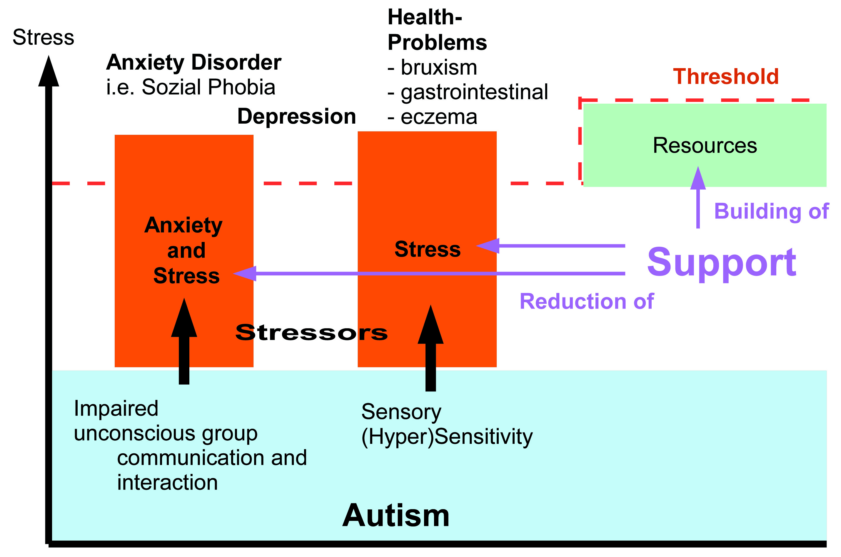 How anxiety arises in ASD