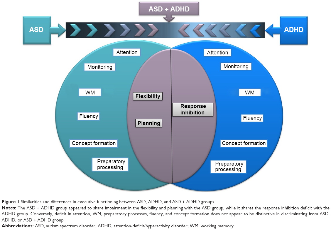 Attention disorders. ADHD and Autism. ADHD vs Autism. Autism Spectrum Disorder. ASD.