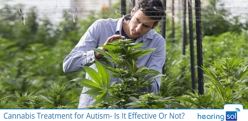 Cannabis Treatment for Autism- Is It Effective Or Not?
