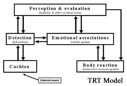 Tinnitus Retraining Therapy