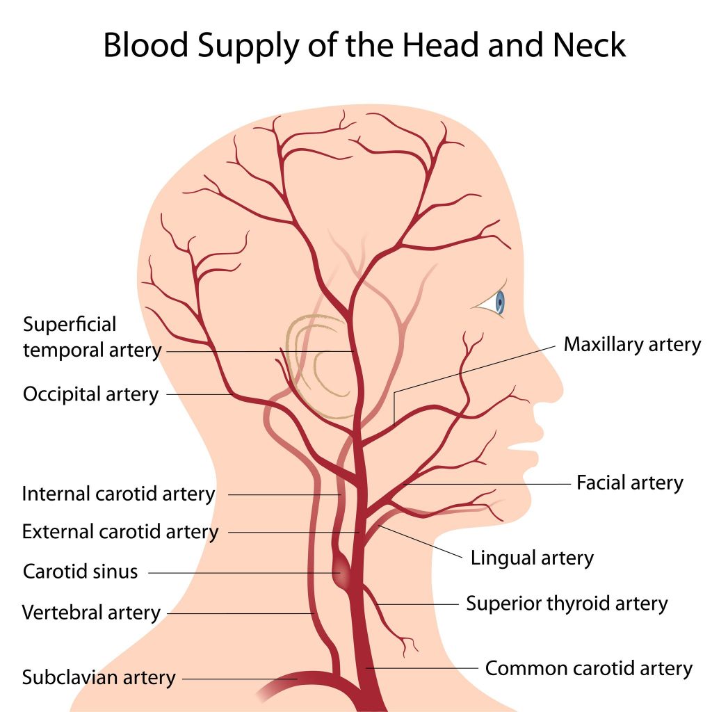 head and neck tumour