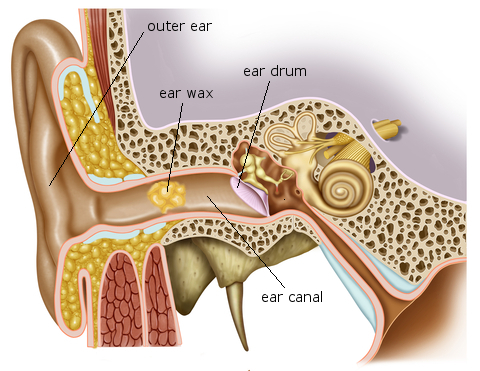 Ear wax