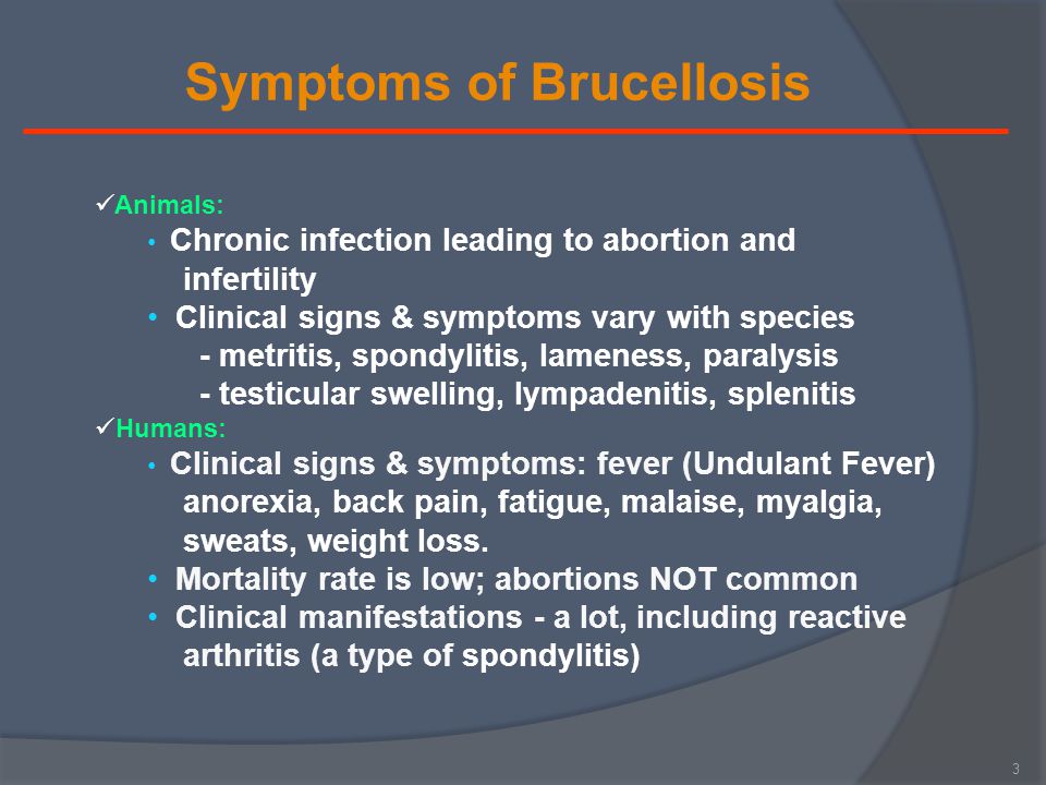 Brucellosis