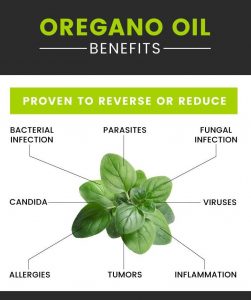 Oregano Oil